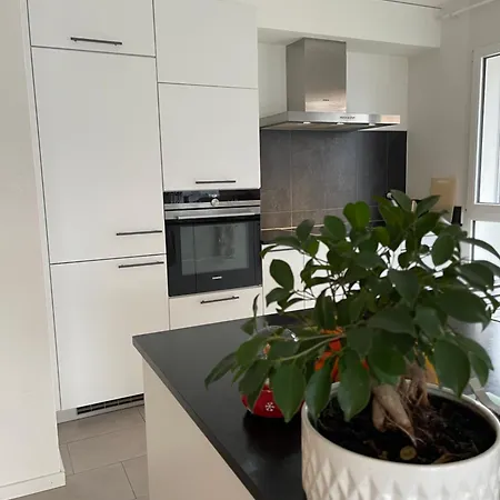 Апартаменты Geneva *